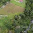  Grundstück zu verkaufen in Los Naranjos, Chiriqui, Los Naranjos