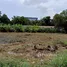  Land for sale in Talat Yai, Phuket, Talat Yai