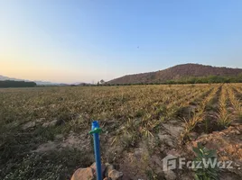 ขายที่ดิน ใน หนองตาแต้ม, หัวหิน, หนองตาแต้ม