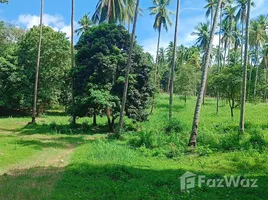 ขายที่ดิน ใน แม่น้ำ, สุราษฎร์ธานี, แม่น้ำ