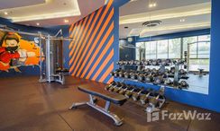 Photos 3 of the Communal Gym at HOMA