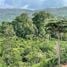 Land for sale in Thalang Phuket, Choeng Thale