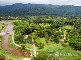 ขายที่ดิน ใน หินตั้ง, นครนายก, หินตั้ง, เมืองนครนายก, นครนายก, ไทย