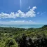  Grundstück zu verkaufen in Koh Samui, Surat Thani, Ang Thong, Koh Samui