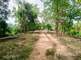 Земельный участок, N/A на продажу в , Луангпрабанг Land for sale in Phanom, Louangphrabang
