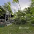  Land for sale in Bo Phut, Surat Thani, Bo Phut
