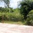  Land for sale in Nakhon Phanom, Tha Uthen, Tha Uthen, Nakhon Phanom