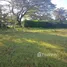 Terrain à vendre à Centro de Samara, Nicoya