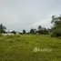  Terrain for sale in Phuket, Choeng Thale, Thalang, Phuket