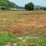  Land for sale in Pak Nam Pran, Pran Buri, Pak Nam Pran