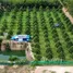  Land for sale in Ban Laeng, Rayong, Ban Laeng