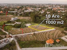  Land for sale in Indonesia, Canggu, Badung, Bali, Indonesia