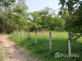  Земельный участок for sale in Dong Chen, Phu Kamyao, Dong Chen
