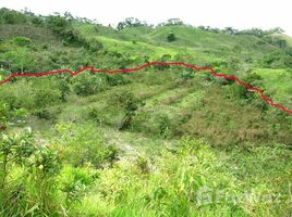  Terrain for sale in Chiriqui, Plaza Caisan, Renacimiento, Chiriqui