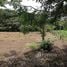  Terreno (Parcela) en venta en Costa Rica, Carrillo, Guanacaste, Costa Rica