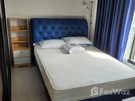 อพาร์ทเม้นท์ 1 ห้องนอน ให้เช่า ในโครงการ ไลฟ์ สุขุมวิท 62, บางจาก