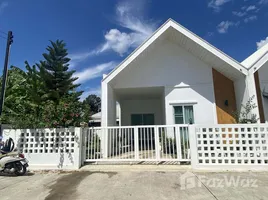 사라피, 치앙마이PropertyTypeNameBedroom, 정 탄, 사라피