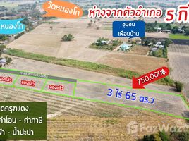  Terrain for sale in FazWaz.fr, Nong Ya Sai, Nong Ya Sai, Suphan Buri, Thaïlande