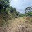 1 Bedroom House for sale in Alvarado Cartago, Alvarado, Cartago, Costa Rica