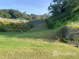  Ciudad Jaragua에서 판매하는 토지, 산 페드로 술라