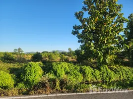 ขายที่ดิน ใน เหล่ายาว, ลำพูน, เหล่ายาว, บ้านโฮ่ง, ลำพูน, ไทย