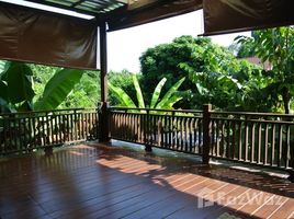 8 Schlafzimmer Haus zu vermieten in Chiang Mai, Wat Ket, Mueang Chiang Mai, Chiang Mai