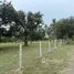  Land for sale at Phuwai Hill Resort, Huai Sai Nuea