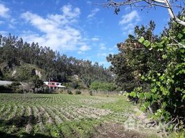 N/A Land for sale in Cotacachi, Imbabura San Juan de Iluman, Imbabura, Address available on request