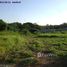  Terrain à vendre à Jardim São Bento., Fernando De Noronha, Fernando De Noronha