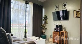 ยูนิตมือสองและให้เช่า