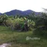  Land for sale in Pa Khlok, Phuket, Pa Khlok