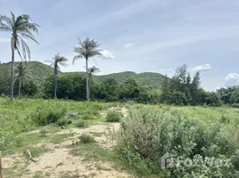 ขายที่ดิน ใน ปากน้ำปราณ, หัวหิน, ปากน้ำปราณ, ปราณบุรี, ประจวบคีรีขันธ์