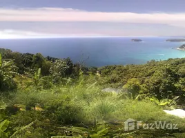  Land for sale in Phuket Town Phuket, Karon, Phuket Town, Phuket