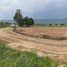  Земельный участок for sale in Nong Ya Khao, Накхон Ратчасима, Nong Ya Khao