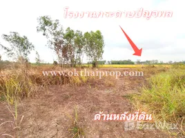  Land for sale in Ho Mok, Phra Nakhon Si Ayutthaya, Ho Mok, Bang Sai, Phra Nakhon Si Ayutthaya