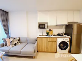 2 Habitación Apartamento en alquiler en Noble Ambience Sukhumvit 42, Phra Khanong, Khlong Toei