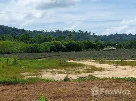  Terrain for sale in Phuket, Thep Krasattri, Thalang, Phuket