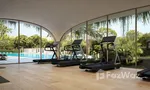 Communal Gym at Ellington Ocean House