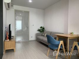 1 Schlafzimmer Wohnung zu vermieten im Life Ladprao, Chomphon