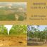  Land for sale in Vientiane, Xaythany, Vientiane