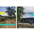  Land for sale in Chon Buri, Tha Bunmi, Ko Chan, Chon Buri