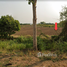  Terrain for sale in FazWaz.fr, Thap Phueng, Si Samrong, Sukhothai, Thaïlande