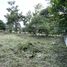  Land for sale in Bangrak Pier, Bo Phut, Bo Phut