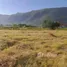 Land for sale in Nong Nam Daeng, Nakhon Ratchasima, Nong Nam Daeng, Pak Chong