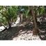  Terrain for sale in Bay Islands, Roatan, Bay Islands