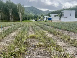 ขายที่ดิน ใน ศรีสุนทร, ภูเก็ต, ศรีสุนทร