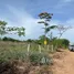  Land for sale in Khlong Hok, Pathum Thani, Khlong Hok, Khlong Luang, Pathum Thani, Thailand