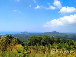  Grundstück zu verkaufen in Ko Pha-Ngan, Surat Thani, Ban Tai, Ko Pha-Ngan