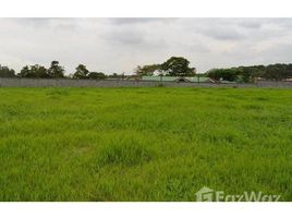  Land for sale at San Pablo, San Pablo