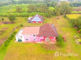 5 Bedroom House for sale in Chiang Rai, Wiang, Chiang Saen, Chiang Rai